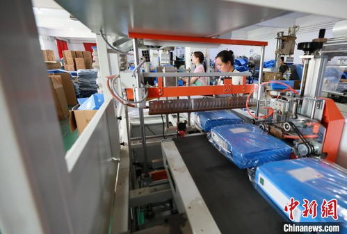 年產值2億元 河北邢臺一小鄉村用檔案制品讓村民走上致富路